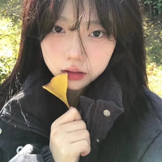 凤凰劫