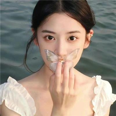 妙探双龙